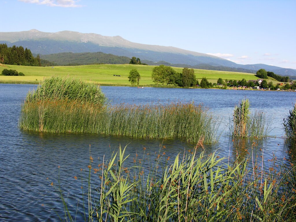 Furtner Teich Naturpark